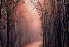 九游娱乐首页-桑巴舞王踏碎钢铁防线！内马尔意甲首秀绝杀国米引爆全球