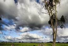 9you娱乐-西甲震动！拜仁“血洗”引发大地震，欧洲足坛格局要变天？