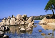 九游娱乐首页-桑巴舞王踏碎钢铁防线！内马尔意甲首秀绝杀国米引爆全球