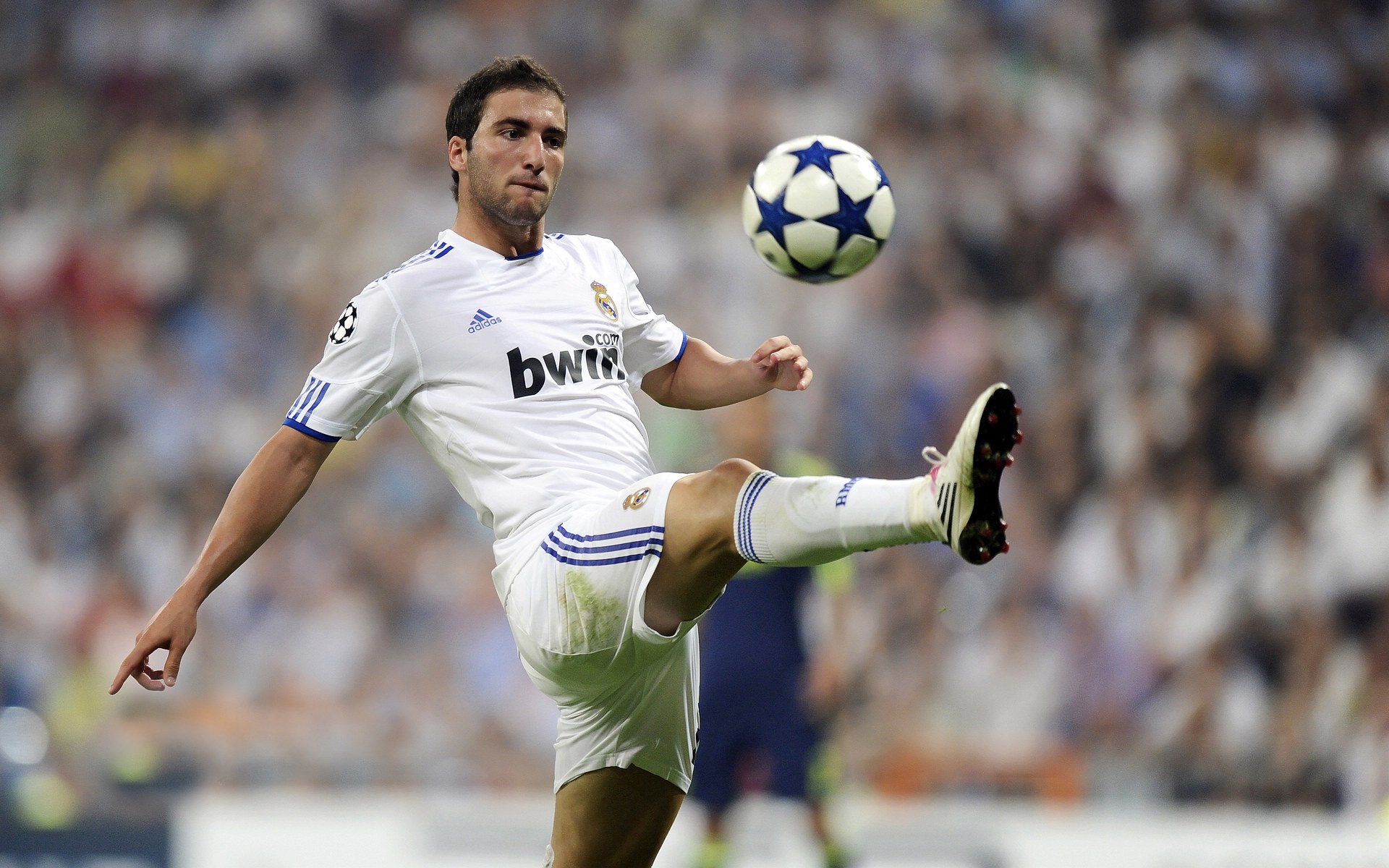 奥运周期关键战之夜,巴斯托尼扛起全队